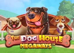 dragonglobalfinance: The Dog House Megaways